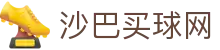 沙巴买球网世界杯专题 - 捷克对南非、瑞士对波黑赛程比分与直播资讯 沙巴买球网世界杯专题 - 捷克对南非、瑞士对波黑赛程比分与直播资讯